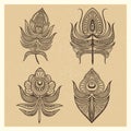 Vintage mandala style feathers vector illustration