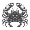 Vintage Mangrove Crab Top View Engraved Tropical Vector Illustration. Royalty Free Stock Photo