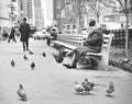 Vintage Manhattan - Greeley Square 1972 Royalty Free Stock Photo