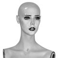 Vintage mannequin doll Royalty Free Stock Photo