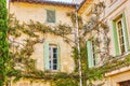 The vintage mansion with grape vines and twisted rose plants, Tarascon, France Royalty Free Stock Photo