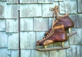 Vintage leather ice skates hanging on a wall