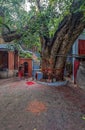 Vintage Mataji or Devi Nilanchal Kamrukam Temple Complex Gaya