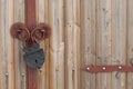 Vintage metal barn lock closed, hanging on a wooden doors