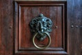 Vintage metal door knocker on a brown wooden door