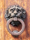 Vintage metal door knocker on old wooden door Royalty Free Stock Photo