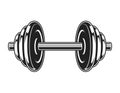 Vintage metal dumbbell icon Royalty Free Stock Photo