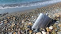 Vintage metal hip flask on pebbles on a beach. celebration of men`s holiday at sea.