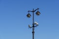 Vintage metal lampposts with street lamps and spotlights on blue sky background Royalty Free Stock Photo