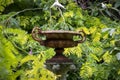 Vintage metal urn surrounded by foliage in a garden Royalty Free Stock Photo