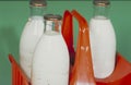 Vintage milk bottles Royalty Free Stock Photo