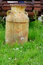 Vintage Milk Jug in Field