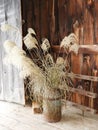 Vintage milk can dried flowers in Shaker Round Stone Barn entry Royalty Free Stock Photo