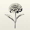 Vintage Minimalism: Detailed Chrysanthemum Flower Drawing