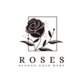 Vintage minimalist framed rose flower logo vector icon