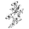 Vintage monochrome butterflies illustration. Black and white