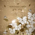 Vintage Monochrome Floral Card with Violets Royalty Free Stock Photo