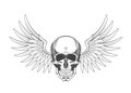 Vintage monochrome highly detailed skull with wings illustration. Isolated vector template Royalty Free Stock Photo