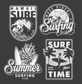 Vintage monochrome surfing club labels Royalty Free Stock Photo