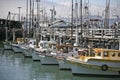 Vintage Monterey Clipper Fishing Boats
