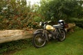 Vintage moped on grass Royalty Free Stock Photo