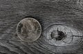 1921 vintage Morgan silver dollar on aged wood background