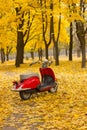 Vintage motorcycle in the autumn forest.