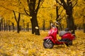 Vintage motorcycle in the autumn forest.