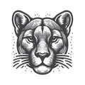Vintage Mountain Lion Front View Vector Icon Design. Royalty Free Stock Photo