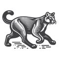 Vintage Mountain Lion Running Retro Vector Icon Design. Royalty Free Stock Photo