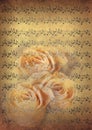 Vintage music notes with roses Royalty Free Stock Photo