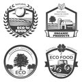 Vintage Natural Healthy Emblems Collection