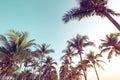 Vintage nature background - coconut palm tree on tropical beach blue sky Royalty Free Stock Photo