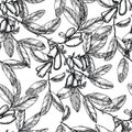 Seamless background with black and white honeysuckle berries and leaves on branches Royalty Free Stock Photo