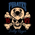 Vintage Nautical Labels Or Design Elements With Retro Elements And Typography. Pirates, Harpoons, Mermaid, Sailfish, Etc