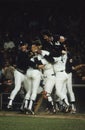 Vintage New York Yankees Celebration