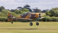 A vintage North American T6 Harvard aircraft in flight