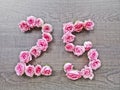 25 - vintage number of pink roses on the background of dark wood