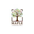 Vintage Oak Maple tree service full color logo design illustration Royalty Free Stock Photo
