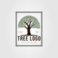 vintage Oak tree or banyan plant logo vector illustration design Royalty Free Stock Photo