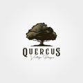 Vintage oak tree logo vector illustration design Royalty Free Stock Photo