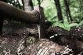 Old Rustic Axe Hatchet on Wood Log Forest. Vegetation, Cabin Countryside, Woods, Beautiful Nature. Canada North America Royalty Free Stock Photo