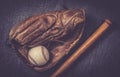 Vintage old baseball glove vith ball and bat Royalty Free Stock Photo