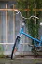 Vintage and old blue rusty bicycle abandoned