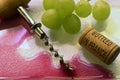 Vintage old corkscrew, wine and wine cork