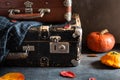 Vintage old fashioned Suitcases with pumpkins and autumn leaves on dark background. Travel agency, antique store concept. Copy Royalty Free Stock Photo