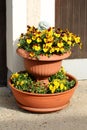 Vintage old garden decoration frog on top of various color Wild pansy flowers growing in two vertical tower orange outdoor flower