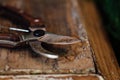 Vintage old garden secateur on a wooden table. Nippers. Royalty Free Stock Photo