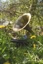 Antique gramophone in the garden