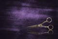 Vintage, old, hairdressing scissors, on shabby purple background. Barbershop background. Reflection. Copy space. Royalty Free Stock Photo